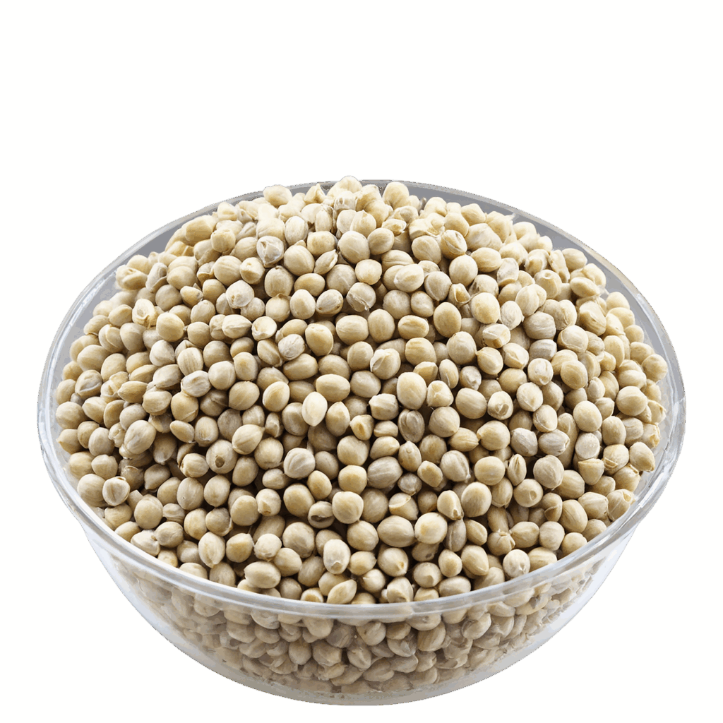 Unterschiede bei Samenarten (Regular, Fem, Auto) – Ein umfassender Guide für Grower