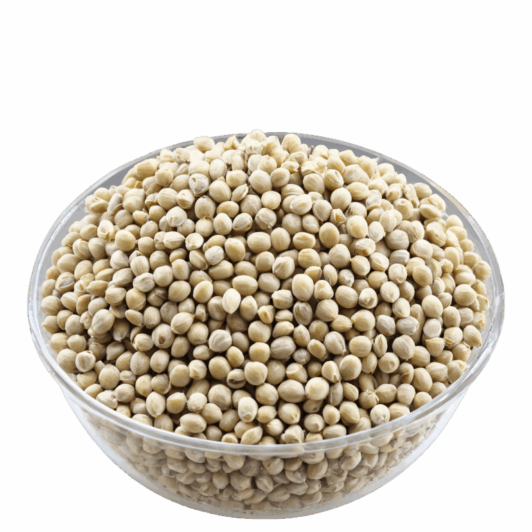 Unterschiede bei Samenarten (Regular, Fem, Auto) – Ein umfassender Guide für Grower