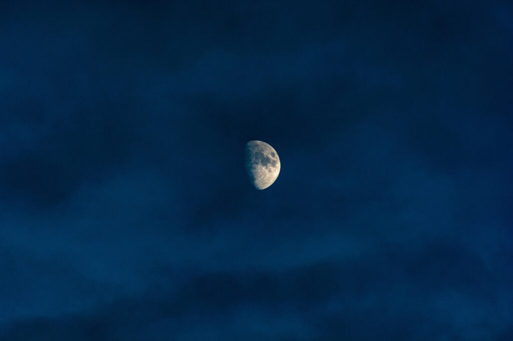 Guerilla Growing – geheim und unauffällig