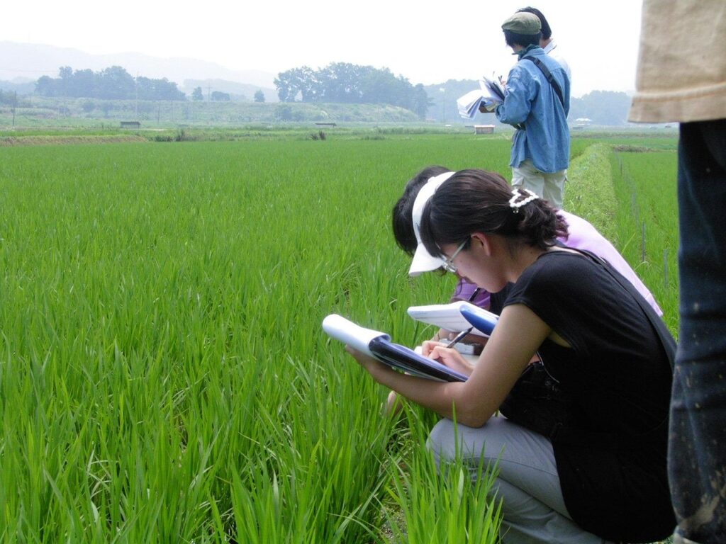 Bio-Anbau Schritt für Schritt: Die Grundlagen