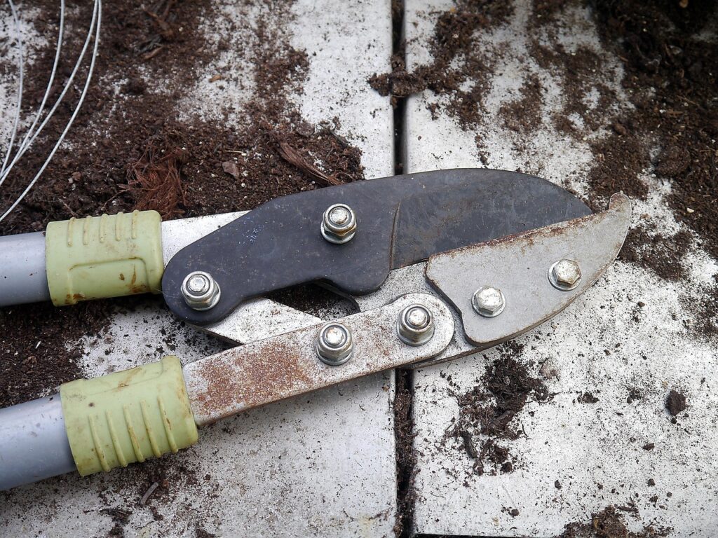 Elektrische vs. manuelle Trimmer – Welches System ist besser für deine Ernte?