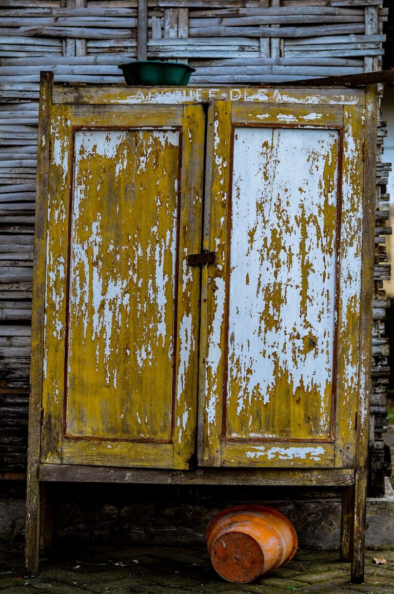 Cannabisanbau im Schrank – Der kompakte Guide für diskretes Indoor Growing