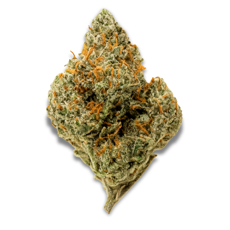 Cannabis-Qualität sensorisch bewerten: Warum sich der Blick hinter die Mythen lohnt