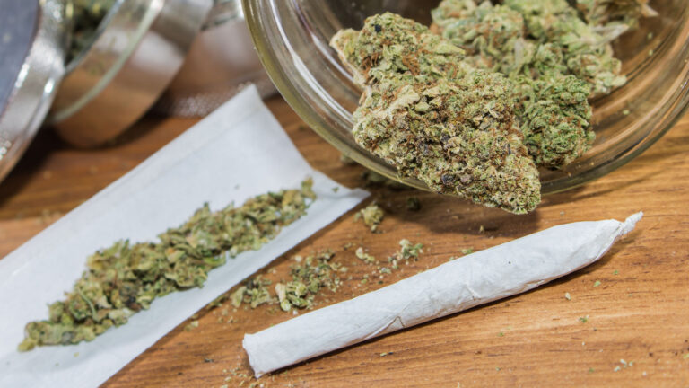 Autoflower Cannabis: Warum selbstblühende Sorten für viele Grower ein Gamechanger sind