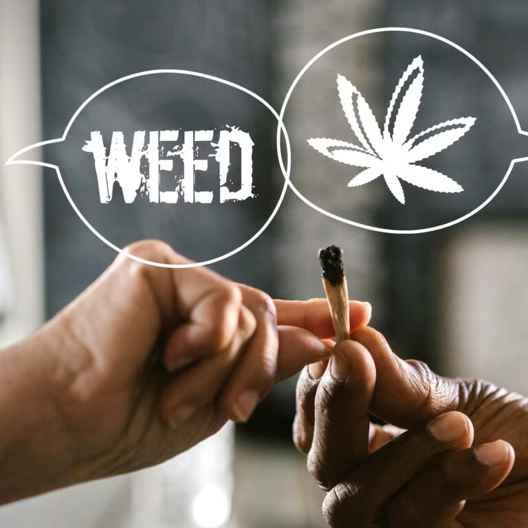 Wasser ist nicht gleich Wasser – warum Filter im Grow plötzlich Sinn ergeben