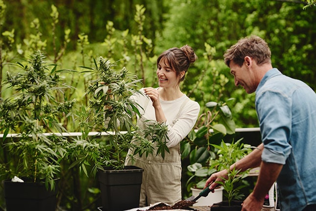 Bodenschutz: Warum dein Boden mehr ist als „nur Erde“