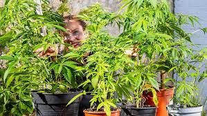 Brandschutz im Growraum: Warum das Thema in keiner Setup-Planung fehlen darf