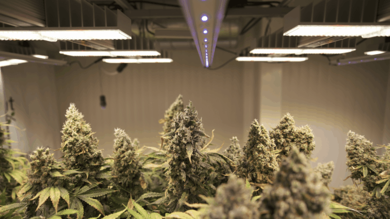 Messgeräte-Basics: welche Sensoren wofür sinnvoll sind