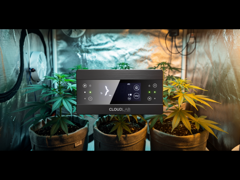 AC Infinity CLOUDLAB VPD Controller im Grow-Interior zur präzisen Klimaautomatik