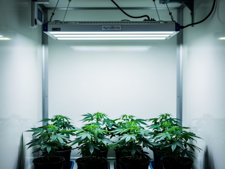 Agrobrite FLT48 T5 Leuchtensystem mit hoher Lichtleistung und Energieverbrauch