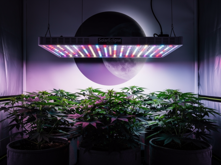 Amare SolarEclipse SE450 LED Growlight im kompakten Zelt mit starkem Vollspektrum