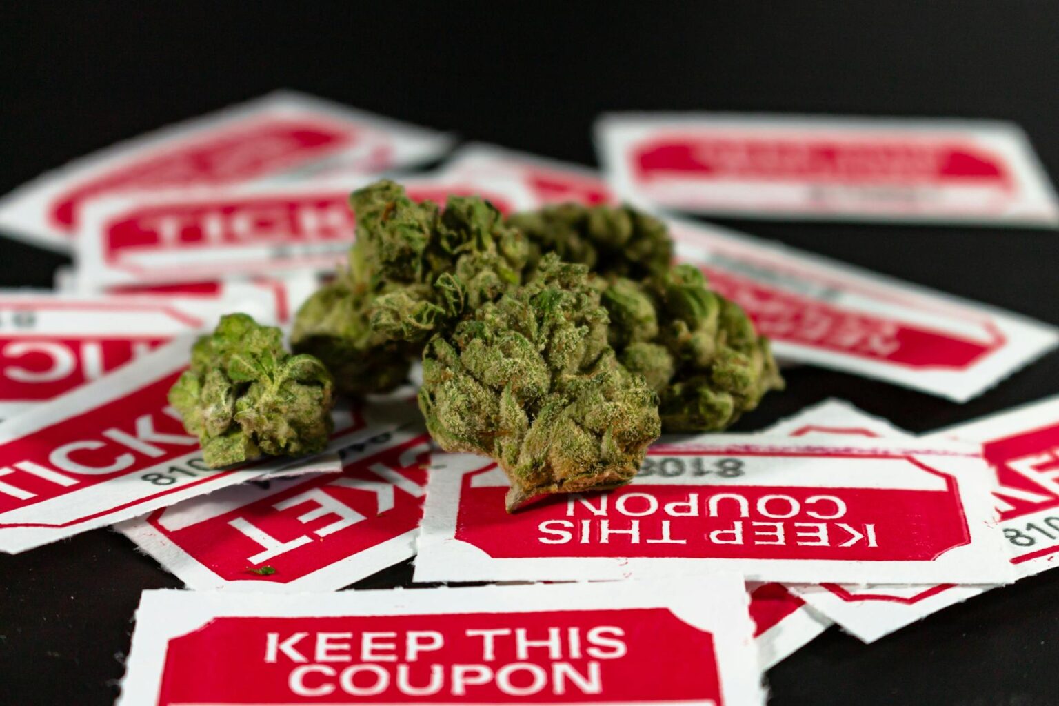 Aktuelle Informationen zu gesetzlichen Regelungen und Fragen rund um Cannabis