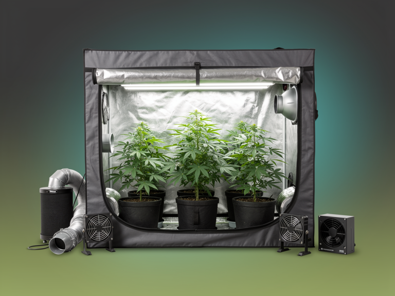 Dark Propagator DP120 Growschrank für effiziente Stecklingsvermehrung im Grow-Setup