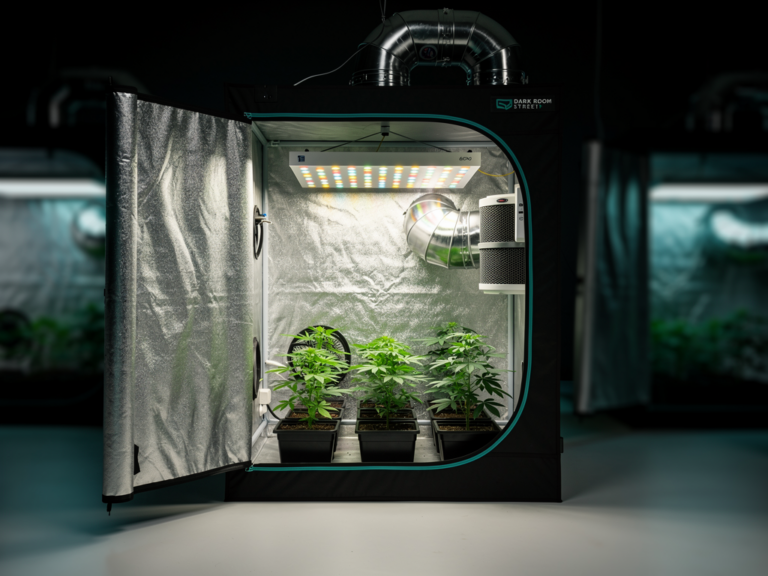 Dark Room Street 60x60 Growzelt stabil mit guter Lichtreflexion und Belüftung