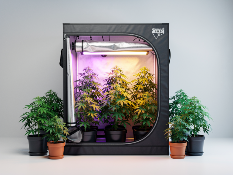 DiamondBox SL80 Growbox 80x80x180 cm mit robustem Stahlrahmen und Reflexionsmaterial