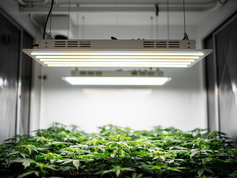 Gavita Pro 1700e Gen 2 LED-Grow-Lampe für effiziente Pflanzenbeleuchtung