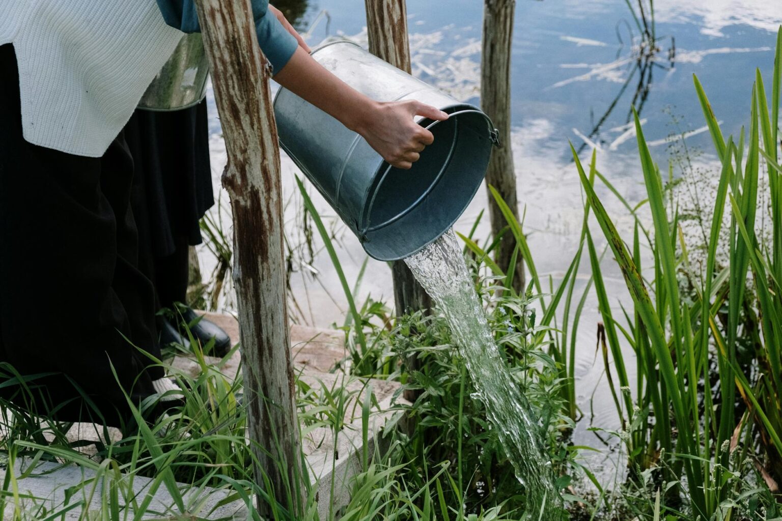 Cannabis-Pflanze wird sorgfältig mit Wasser versorgt für gesundes Wachstum