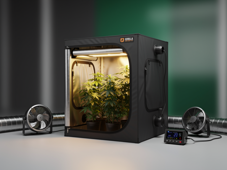 Gorilla Grow Tent Lite Line 2x2 Indoor-Growzelt mit kompakter Bauweise und reflektierender Innenbeschichtung