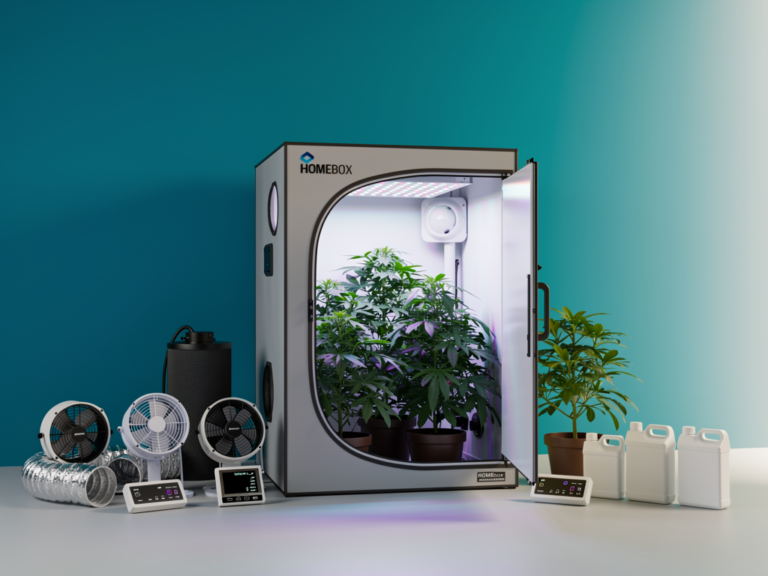 HOMEbox Ambient R120 Growbox mit stabiler Stahlkonstruktion und effizienter Lichtstreuung