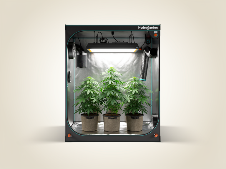 Hydrogarden Cultivation Tent 90x90 robustes Growzelt für Einsteiger und Hobbyzüchter