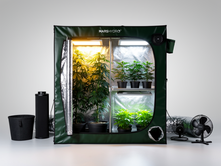 Mars Hydro 2in1 Grow Zelt mit reflektierendem Innenmaterial und flexibler Raumaufteilung