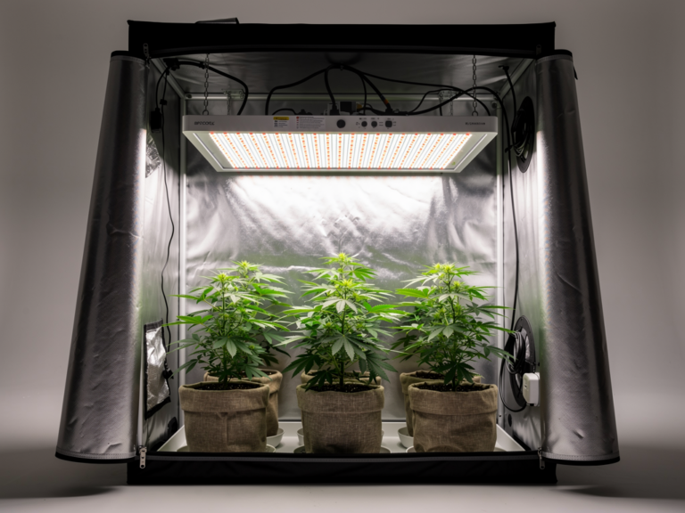 Mars Hydro 2x2 Growzelt mit stabilem Metallgestänge und lichtdichtem Innenfutter