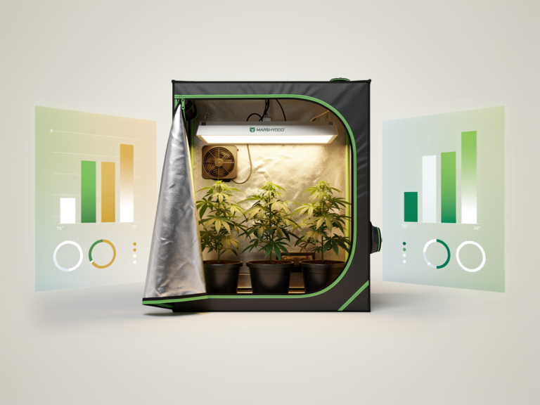 Mars Hydro Grow Zelt 70x70 Test kompaktes und effizientes Indoor-Growzelt