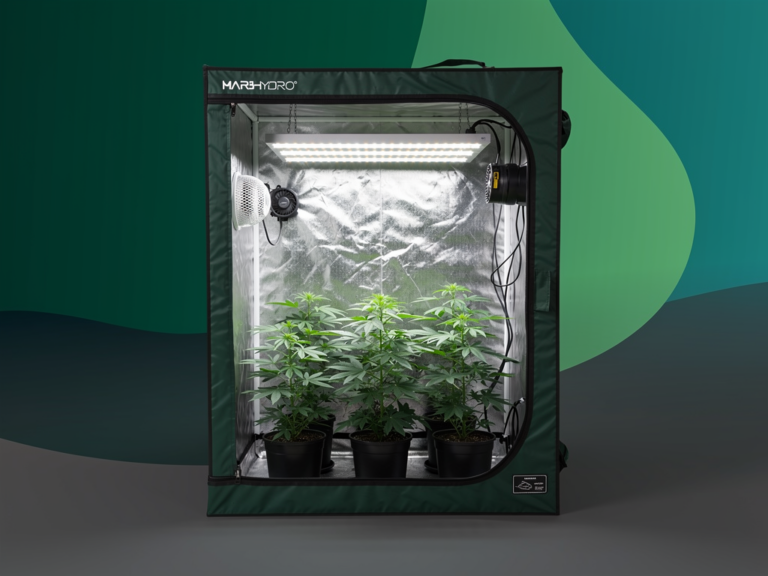 Effizienter Indoor-Anbau im Mars Hydro Growzelt 60x60x140cm erleben Mars Hydro Growzelt 60x60x140cm für effizienten kompakten Indoor-Pflanzenanbau