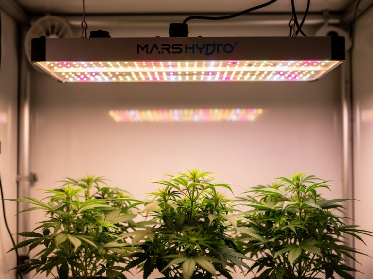 Mars Hydro SP 3000 LED Grow Lampe im Praxis-Test für Indoor Pflanzenbeleuchtung
