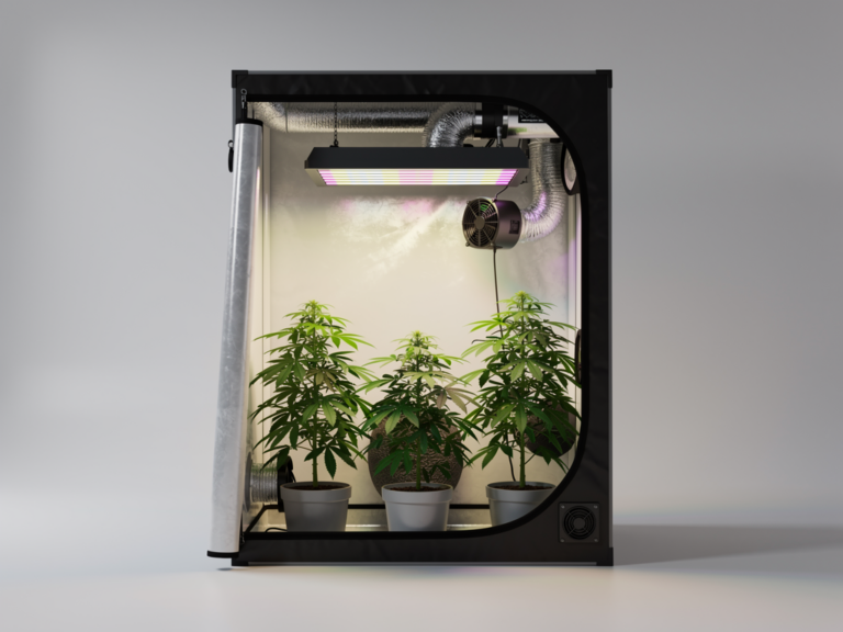 Nutz Grow Tent 80x80x180cm mit robustem Stahlgestänge und reflektierender Innenbeschichtung