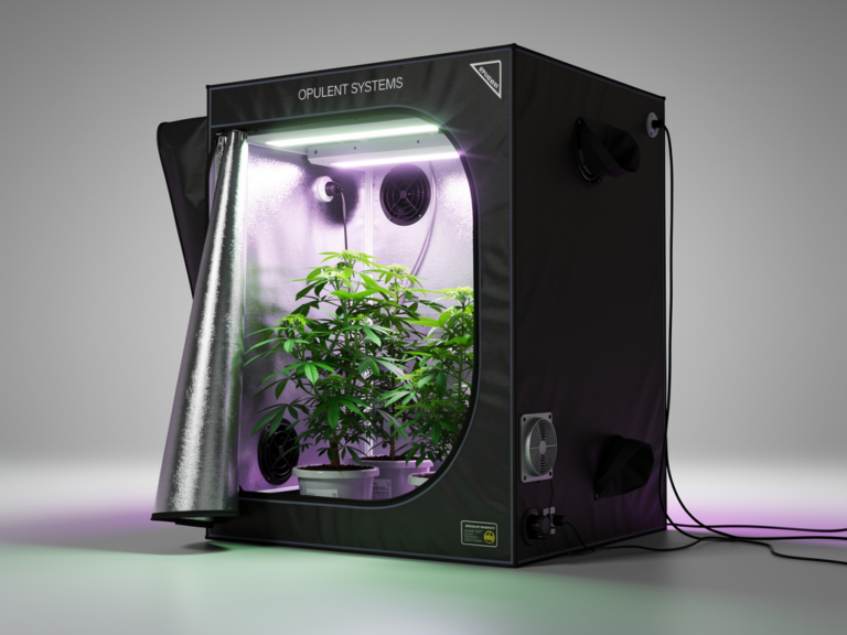 Meine Erfahrungen mit dem OPULENT SYSTEMS Hydroponic Grow Tent im Test OPULENT SYSTEMS Hydroponic Grow Tent mit reflektierender Mylar-Beschichtung und Stahlrahmen