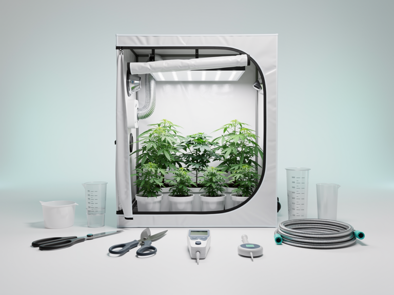 Ram Grow Zelt White Test mit Praxis-Tipps und bewährten Lösungen RAM Grow Zelt White 100x100x200cm mit robuster Konstruktion und heller Innenbeschichtung