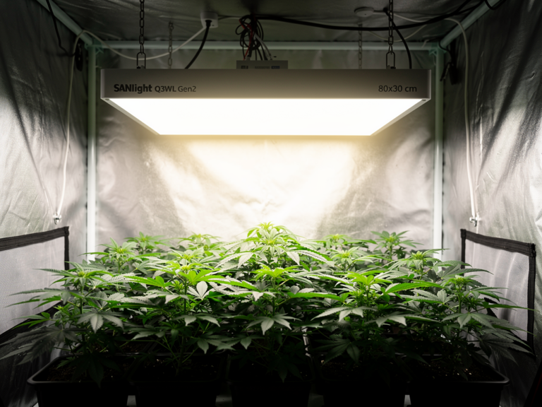 SANlight Q3WL Gen2 Test