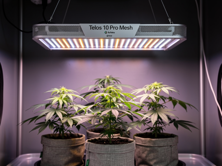 Telos 10 Pro Mesh smarte Grow Lampe Benutzererfahrungen und modulares Design