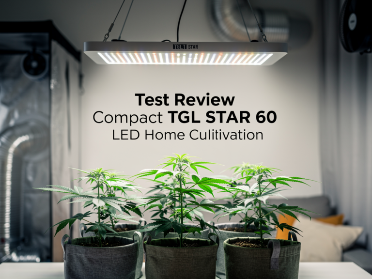 TGL STAR 60 kompakte LED-Pflanzenlampe für effizienten Heimanbau mit Vollspektrum
